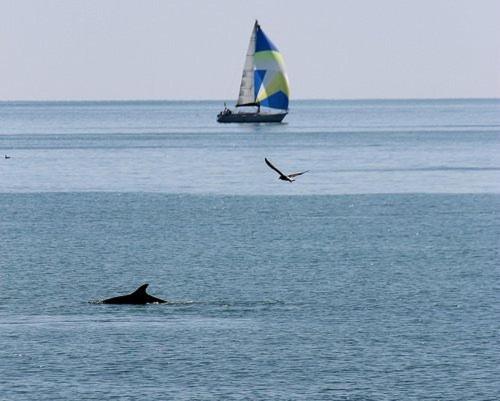 B&B Attico Mare San Benedetto del Tronto Eksteriør bilde